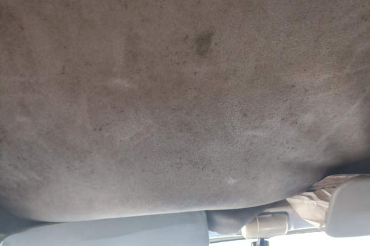 Used Wuling Rongguang 2011 1.2L Base Version Headliner
