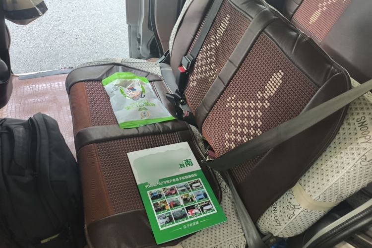 Used Wuling Rongguang  Left Rear Seat