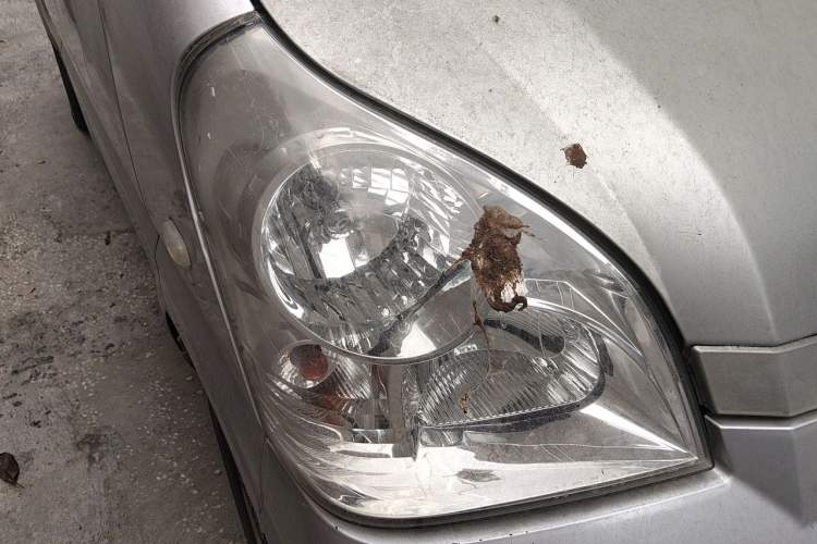Used Wuling Rongguang 2011 1.2L Base Version Right Front Headlight