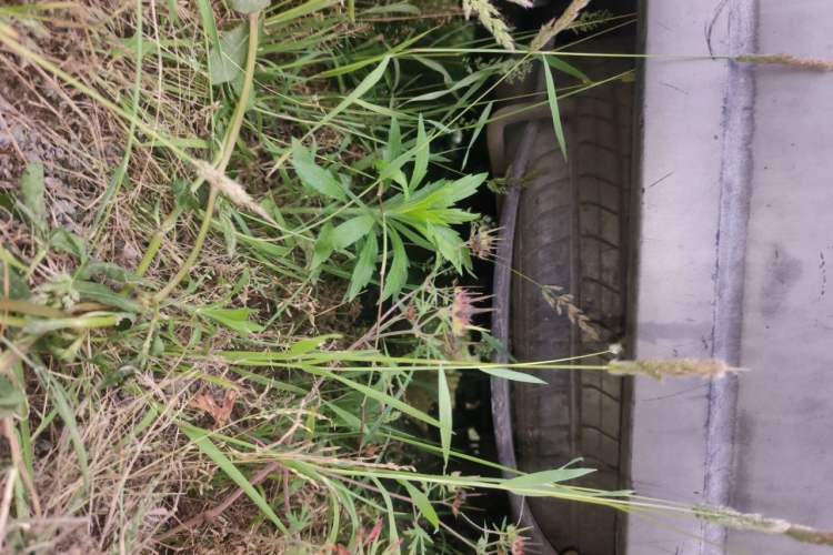 Used Wuling Rongguang 2011 1.2L Base Version Chassis Rear