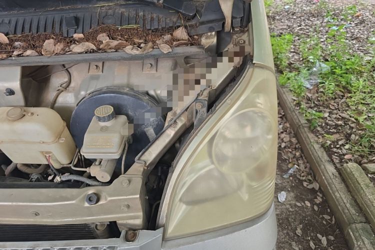 Used Wuling Rongguang 2012 1.5L Extended Basic Version Engine Bay Left