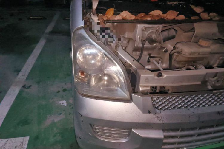 Used Wuling Rongguang 2017 1.5L Extended Basic Version Right Front Headlight