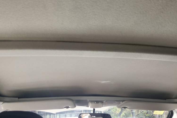Used Wuling Rongguang New Truck 2023 2.0L Double-Cab Extended-Size Base Version LJM20B Headliner