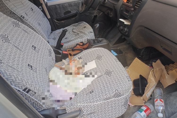 Used Wuling Rongguang S 2021 1.2L Base Model Window-Sealed 2-Seat LSI Car Left Rear Seat