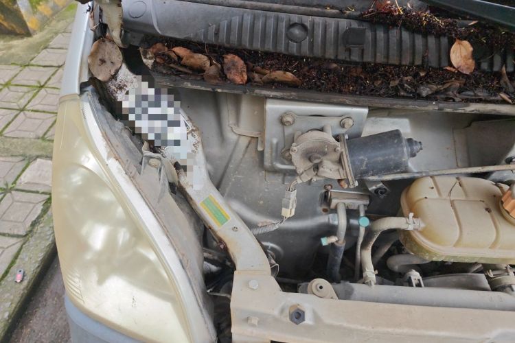 Used Wuling Rongguang Small Truck 2012 1.2L Double-Cab Basic Version LAQ Engine Bay Right