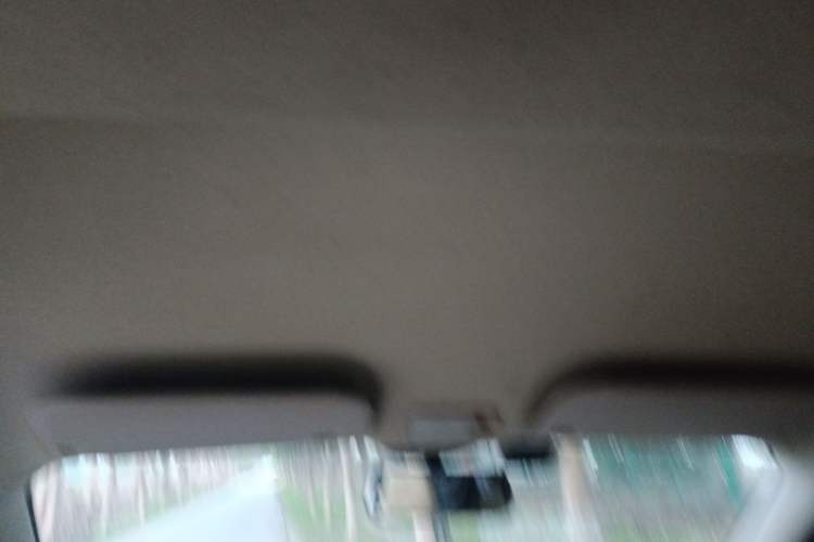 Used Wuling Rongguang V 2015 1.5L Standard Version Headliner