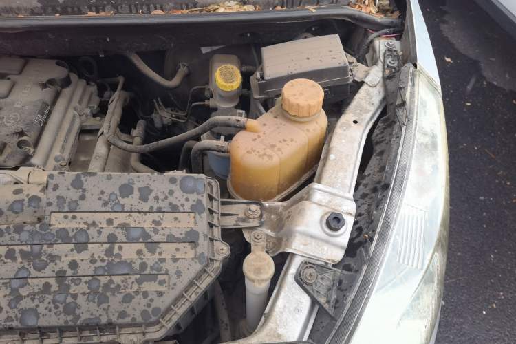 Used Wuling Rongguang V  Engine Bay Left