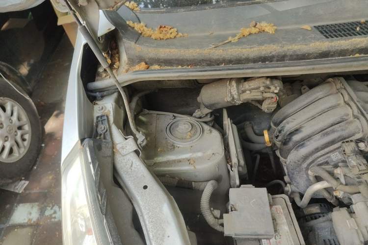 Used Wuling Rongguang V 2016 1.2L Practical Model Non-Power-Assisted Engine Bay Right
