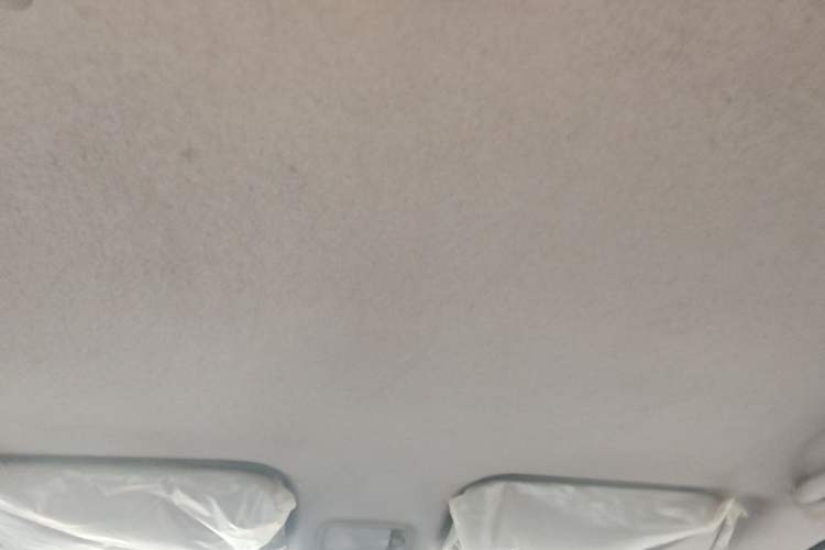 Used Wuling Rongguang V 2016 1.2L Practical Version Headliner
