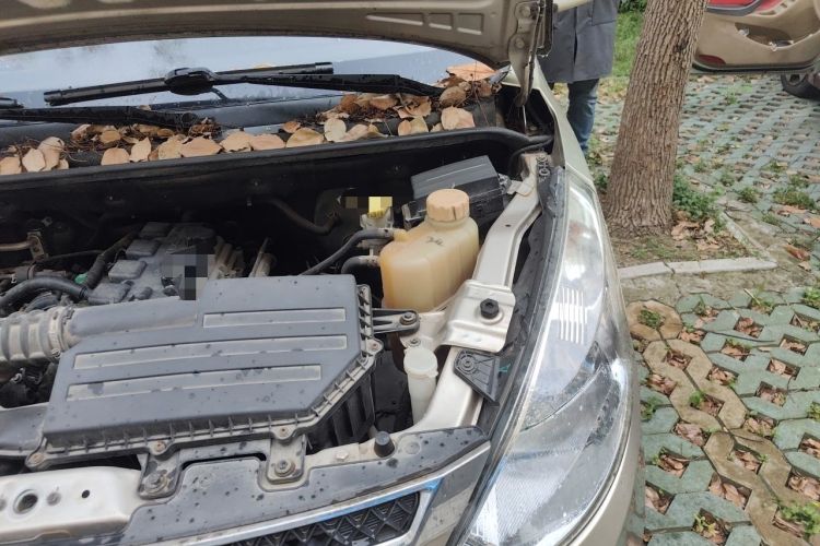 Used Wuling Rongguang V 2016 1.5L Standard Version Engine Bay Left