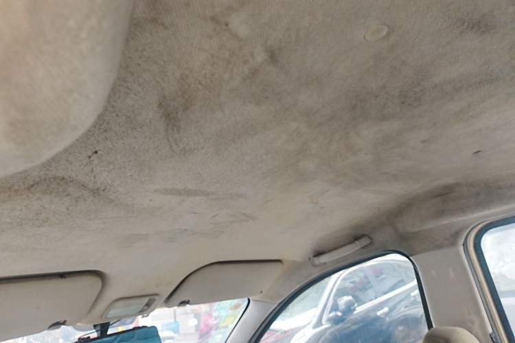 Used Wuling Rongguang V 2016 1.5L Practical Version Headliner