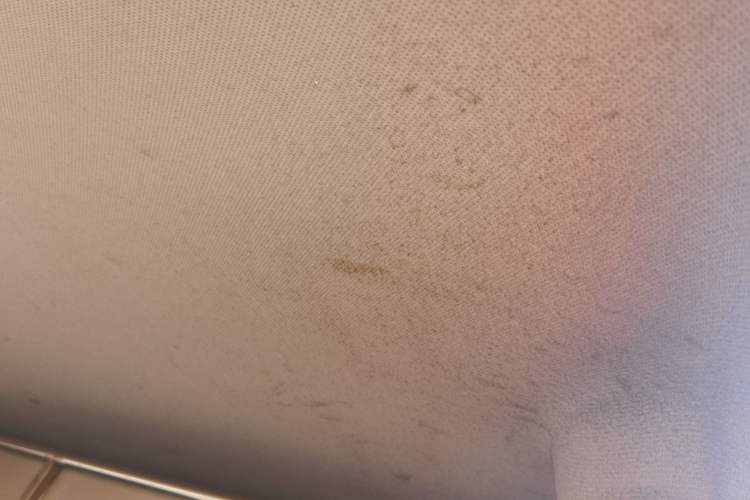 Used Wuling Rongguang V 2018 1.5L Practical Version Headliner