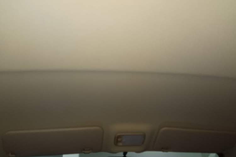Used Wuling Rongguang V 2019 1.2L Van Utility Model Headliner