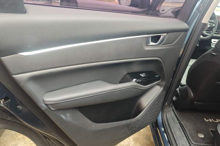 Used Wuling Victory 2020 1.5T CVT Flagship Edition Left Rear Door Interior