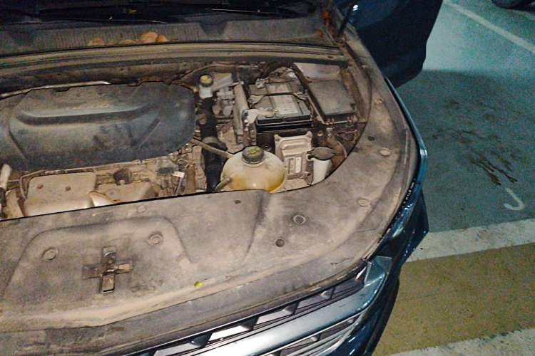 Used Wuling Victory 2020 1.5T CVT Flagship Edition Engine Bay Left