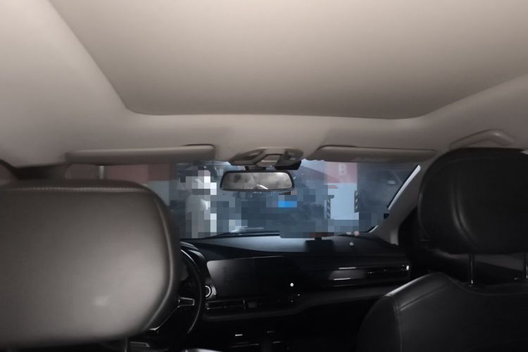 Used Wuling Victory 2020 1.5T CVT Flagship Edition Headliner