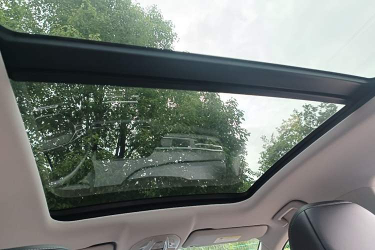 Used Wuling Victory 2020 1.5T CVT Flagship Edition Headliner