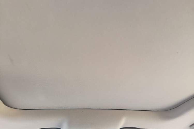 Used Wuling Victory 2020 1.5T CVT Flagship Edition Headliner