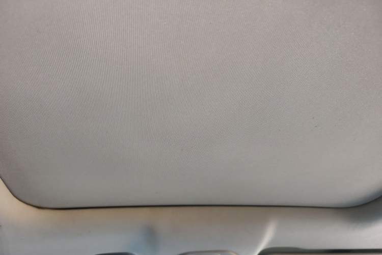 Used Wuling Victory 2020 1.5T CVT Flagship Edition Headliner