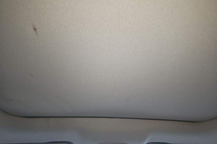 Used Wuling Victory 2020 1.5T CVT Flagship Edition Headliner