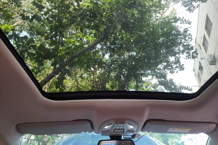 Used Wuling Victory 2020 1.5T CVT Flagship Edition Headliner