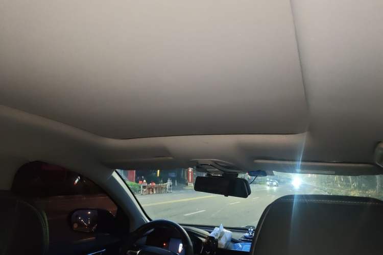 Used Wuling Victory 2020 1.5T CVT Flagship Edition Headliner