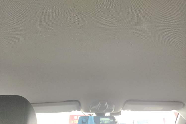 Used Wuling Victory 2020 1.5T CVT Luxury Model Headliner