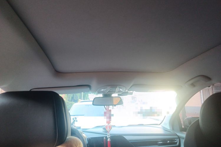 Used Wuling Victory 2020 1.5T CVT Flagship Edition Headliner