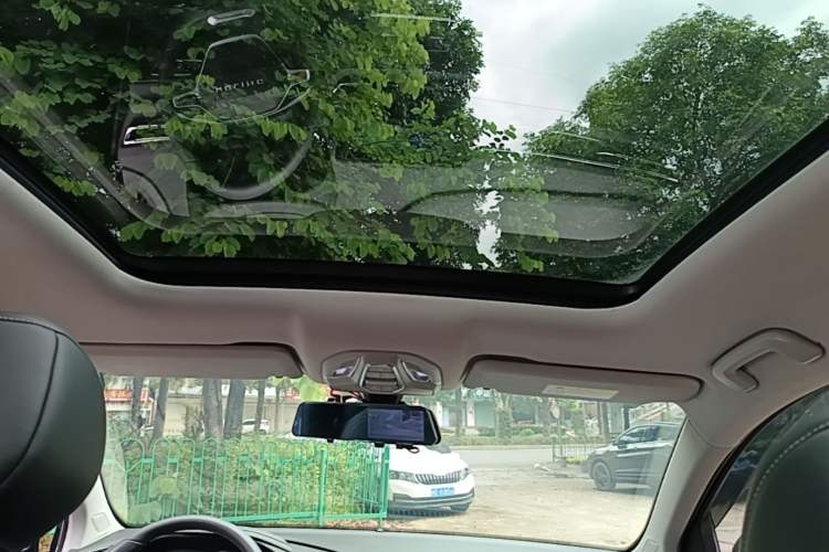 Used Wuling Victory 2020 1.5T CVT Flagship Edition Headliner