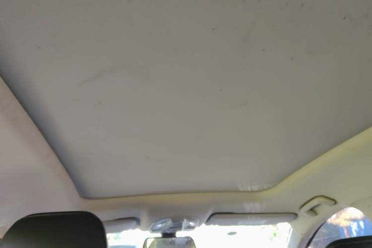 Used Wuling Victory 2020 1.5T CVT Flagship Edition Headliner
