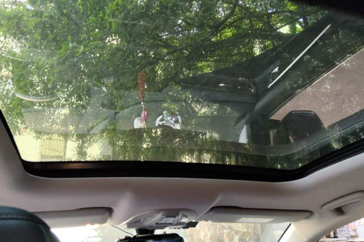 Used Wuling Victory 2020 1.5T CVT Flagship Edition Headliner