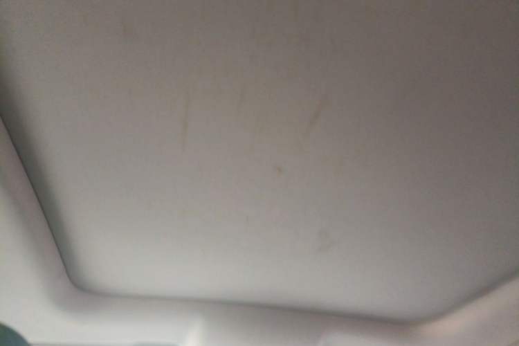 Used Wuling Victory 2020 1.5T CVT Flagship Edition Headliner