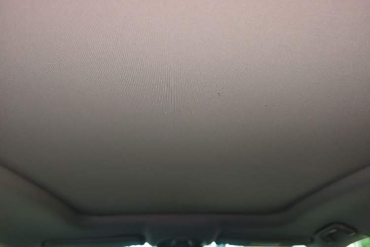 Used Wuling Victory 2020 1.5T CVT Flagship Edition Headliner