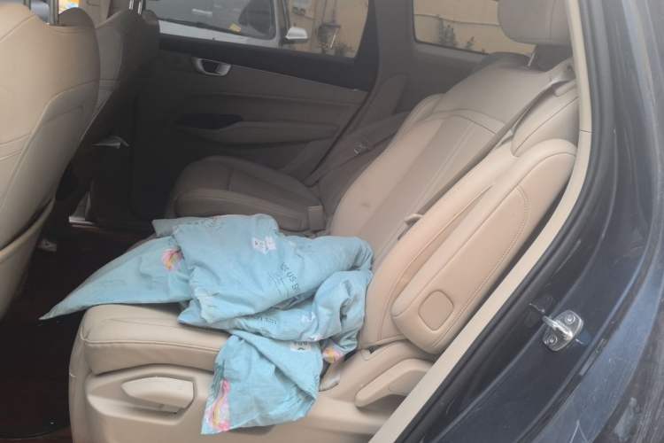 Used Wuling Victory 2020 1.5T CVT Flagship Edition Left Rear Seat