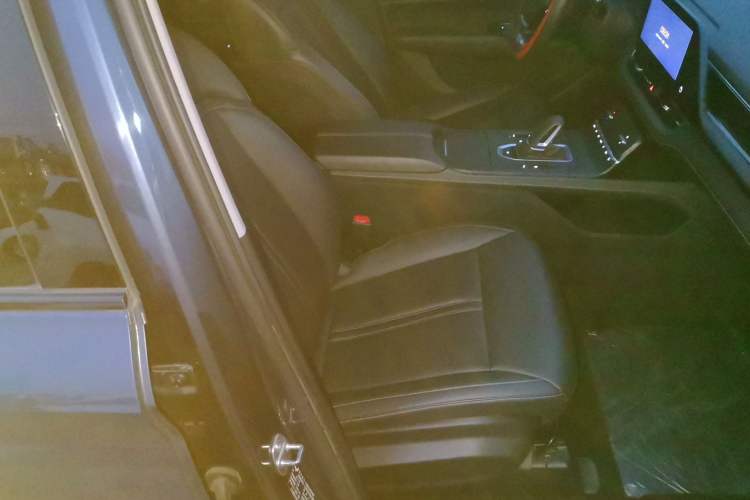 Used Wuling Victory 2020 1.5T CVT Flagship Edition Right Front Seat