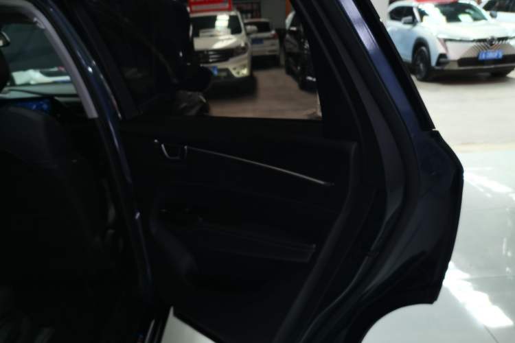 Used Wuling Victory 2020 1.5T CVT Flagship Edition Right Rear Door Interior