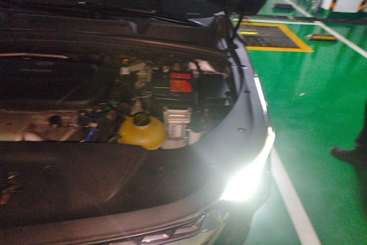 Used Wuling Victory 2020 1.5T CVT Flagship First-Class Model Engine Bay Left