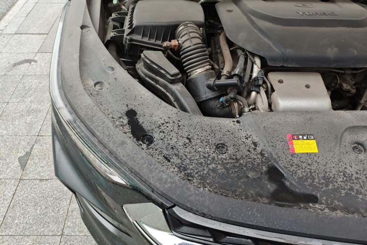 Used Wuling Victory 2020 1.5T CVT Flagship Edition Engine Bay Right