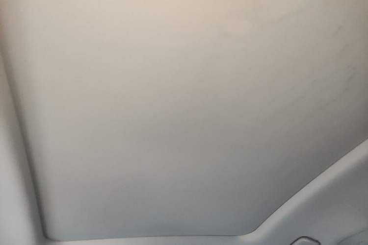 Used Wuling Victory 2020 1.5T CVT Flagship Edition Headliner