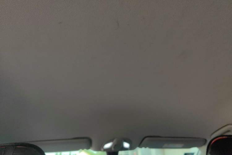 Used Wuling Victory 2020 1.5T CVT Luxury Model Headliner