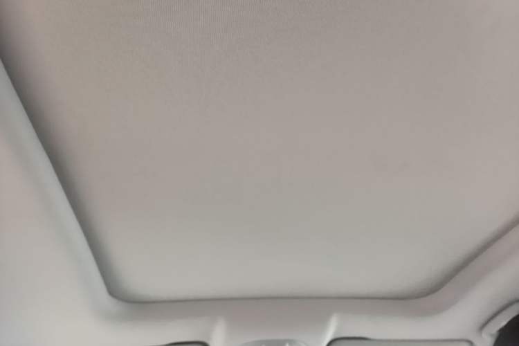 Used Wuling Victory 2020 1.5T CVT Flagship Edition Headliner