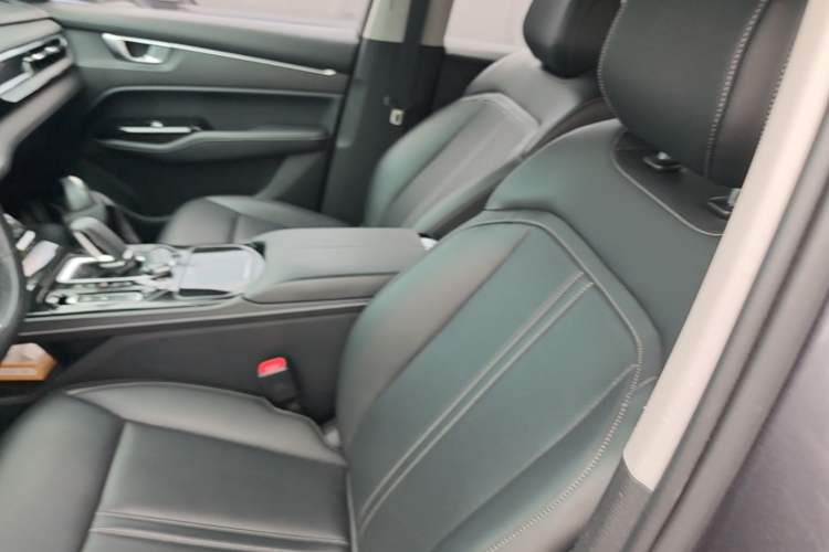 Used Wuling Victory 2020 1.5T CVT Flagship Edition Left Front Seat