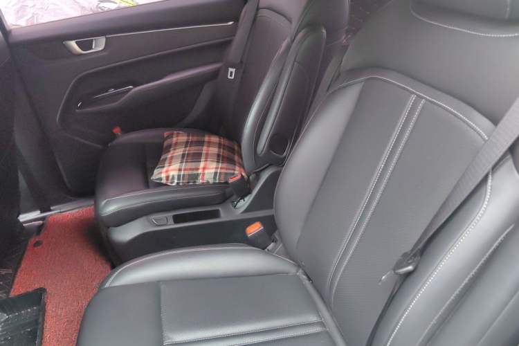 Used Wuling Victory 2020 1.5T CVT Flagship Edition Left Rear Seat