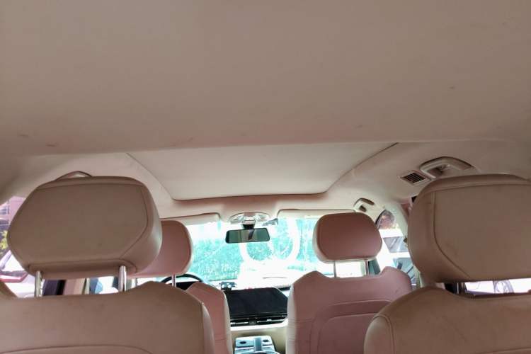 Used Wuling Victory 2020 1.5T CVT Flagship Edition Headliner