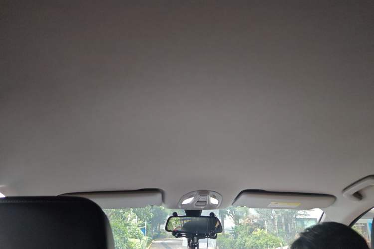 Used Wuling Victory 2020 1.5T CVT Luxury Model Headliner