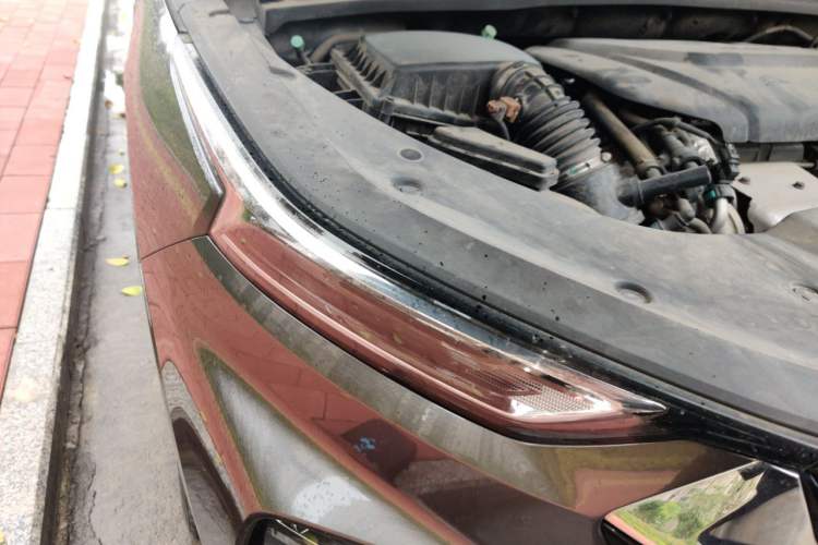 Used Wuling Victory 2020 1.5T Manual Elite Edition Right Front Headlight