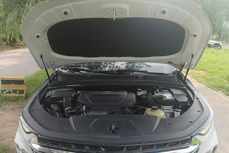 Used Wuling Victory 2020 1.5T CVT Flagship Edition Engine Bay