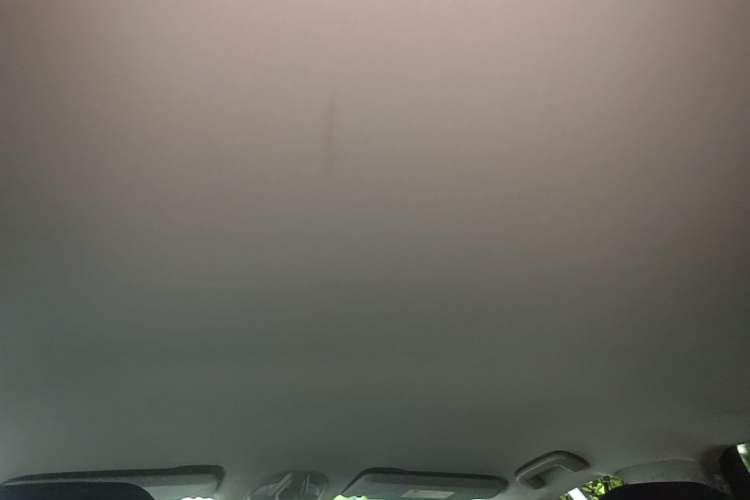 Used Wuling Victory 2020 1.5T CVT Luxury Model Headliner