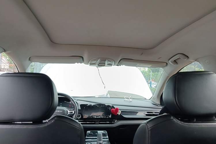 Used Wuling Victory 2020 1.5T CVT Flagship Edition Headliner