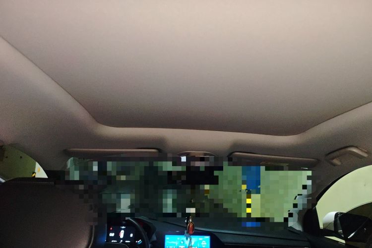 Used Wuling Victory 2020 1.5T CVT Flagship Edition Headliner